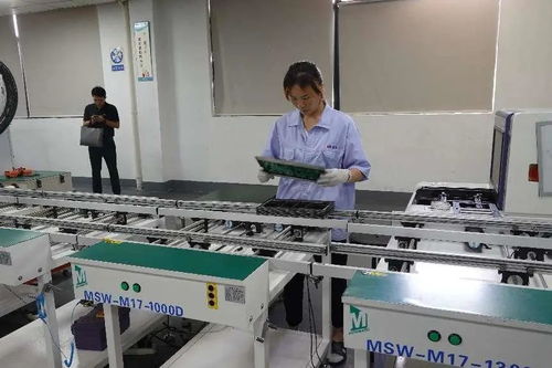 钱江潮涌 助企远航——浙江推进小微企业质量管理体系认证提升行动综述